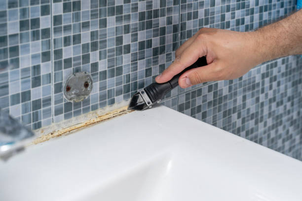 Blossburg, PA Mold Removal Pros