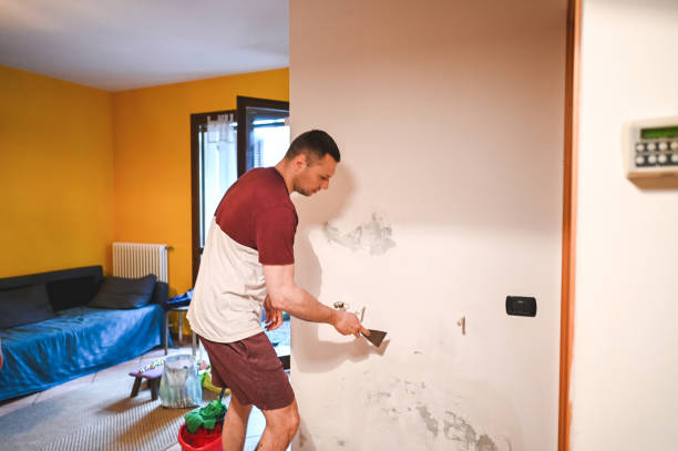 Best Mold Removal Specialists  in Blossburg, PA